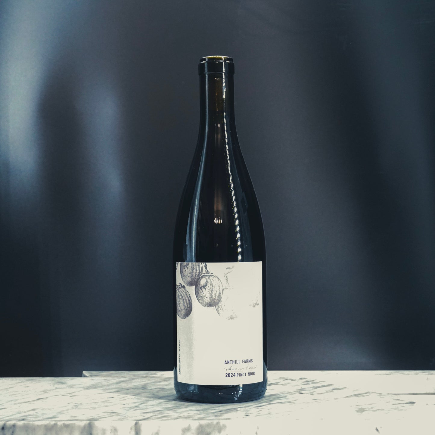 Anthill Farms, Pinot Noir Sonoma Coast 2024