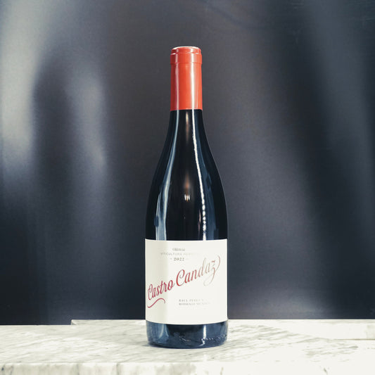 Castro Candaz, Ribeira Sacra Tinto Mencia 2022