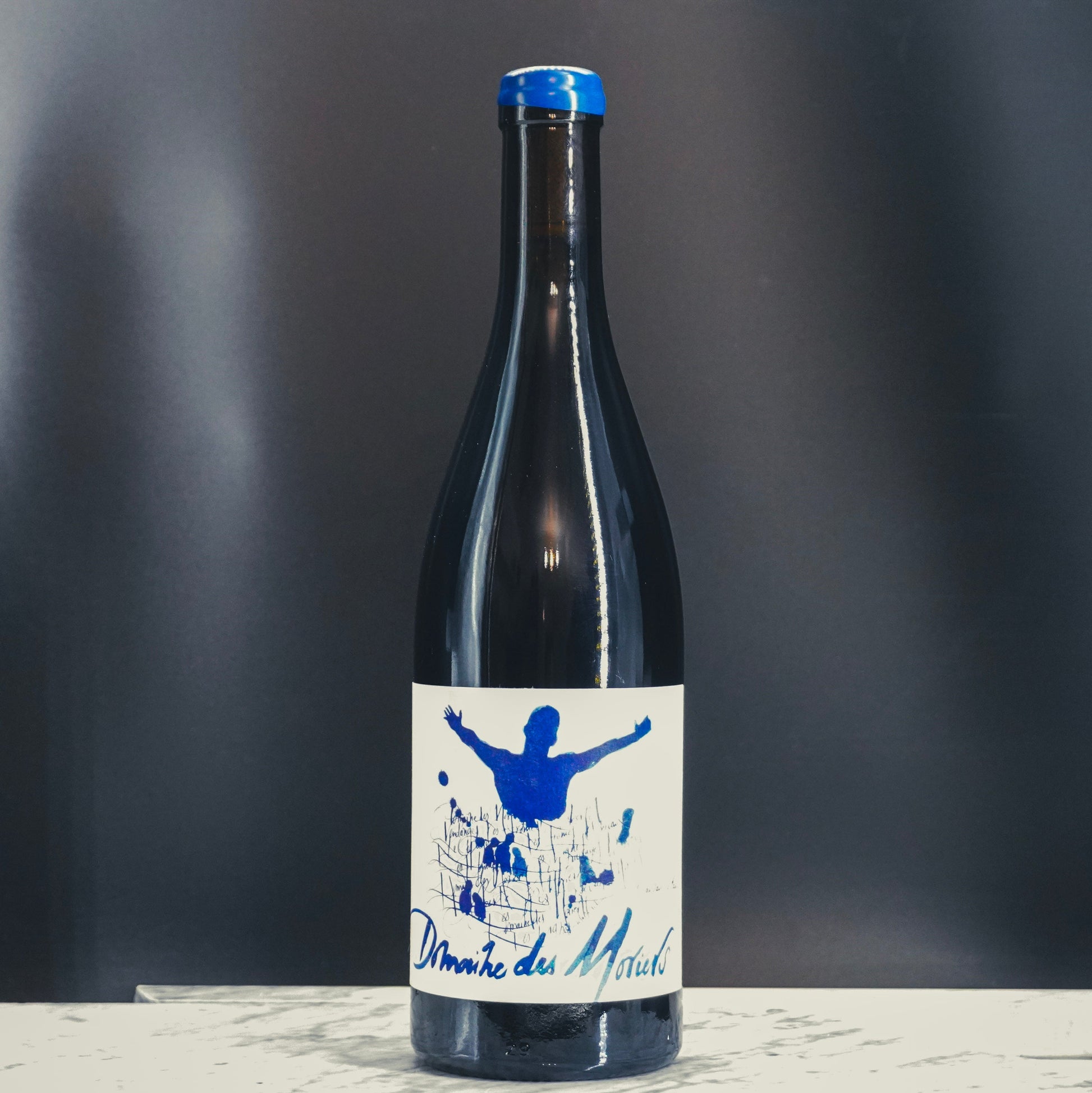 Domaine des Moriers, Beaujolais-Villages 2022